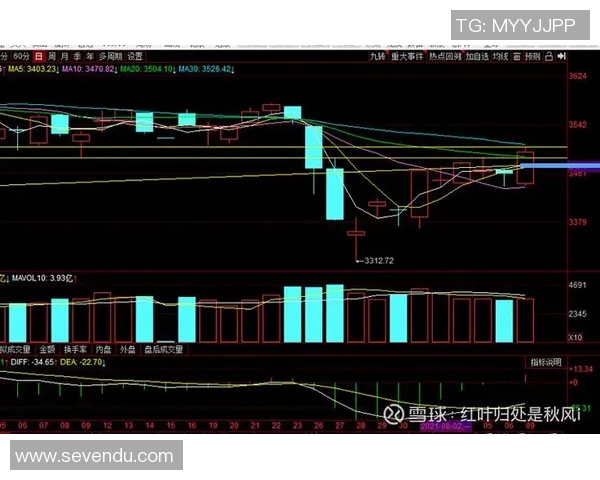 赛后复盘：成都篮球队vs深圳篮球队的节奏